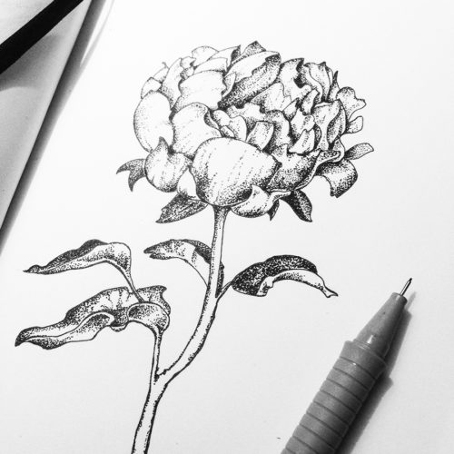 dotwork-flowers-and-leaves-handdrawn